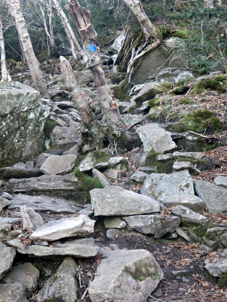 Steep, rocky section of the Escarpment Trail approaching the summit of Blackhead. Photo by Daniel Chazin.