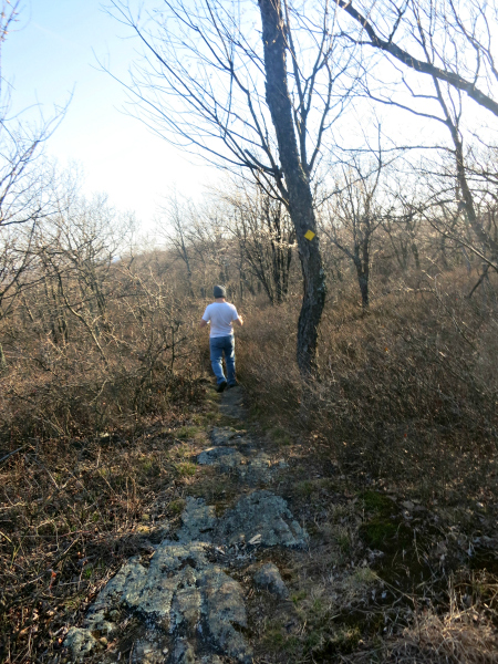 Hiker along the Yellow Trail. Photo by Daniel Chazin.