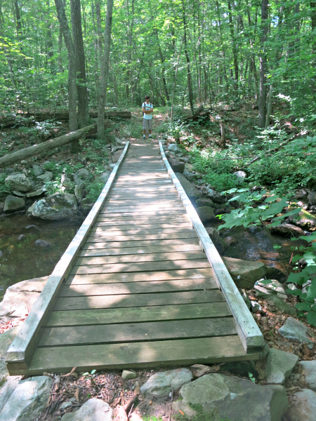 Footbridge on the Blue Mountain Loop Trail-Howell Trail over the Big Flat Brook. Photo by Daniel Chazin.