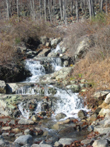 Gyascutus Brook Cascade 188 Photo by Akiva Axel.