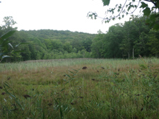 View from the highest point in Morris County from the Ogden Mine Railroad railbed. Photo by Daniel Chazin.