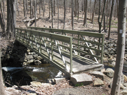 Mombasha Creek footbridge. Photo by Daniel Chazin.