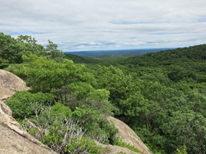 Panoramic view from The Hill of Pines. Photo by Daniel Chazin.
