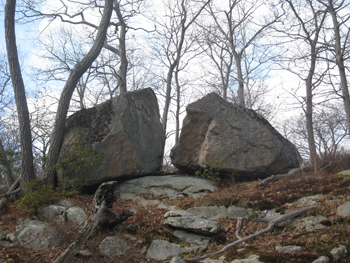 Split boulder on a hill to the left of the Long Path. Photo by Daniel Chazin.