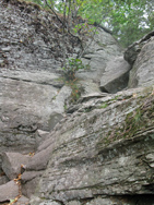 Steep climp on the Escarpment Trail. Photo by Daniel Chazin.