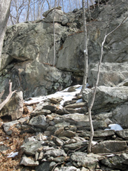 Stone steps to an outcrop on the white trail. Photo by Daniel Chazin.