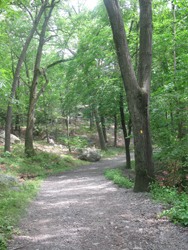 Typical Section of De Camp Trail. Photo by Daniel Chazin.