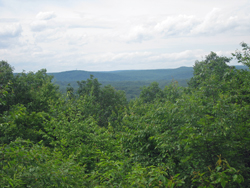View of Wildcat Ridge. Photo by Daniel Chazin.