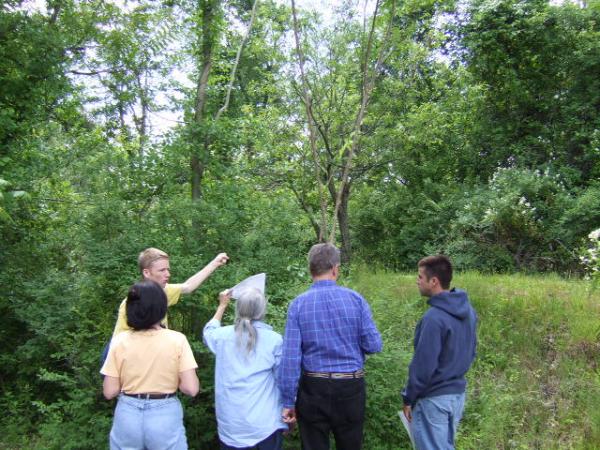 learning about invasive plants