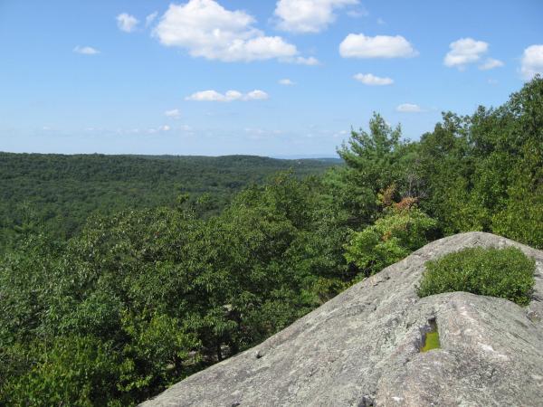 Shirazi viewpoint