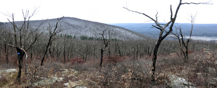 Wurtsboro Ridge