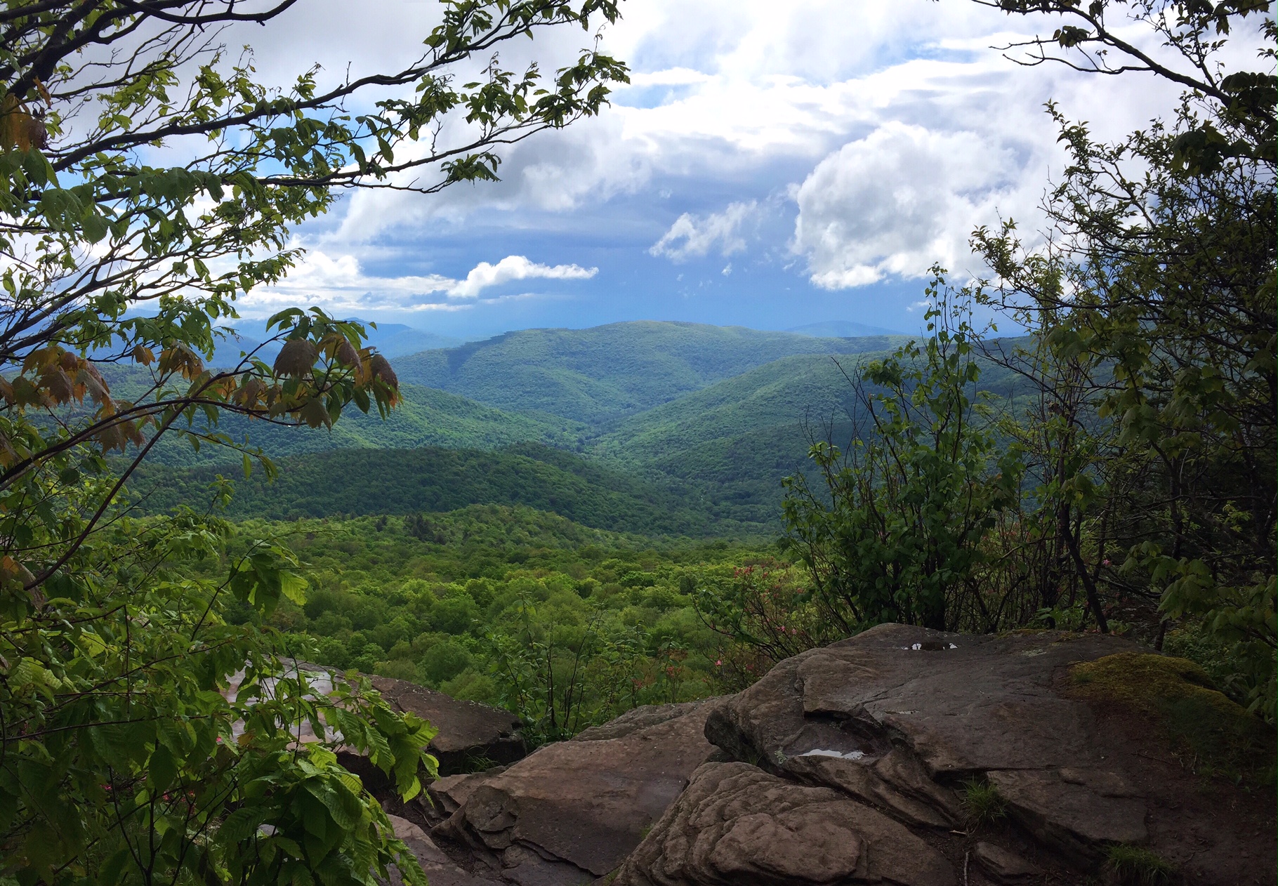 View from Giant Ledge in the Catskills. Photo by Marlee Goska.