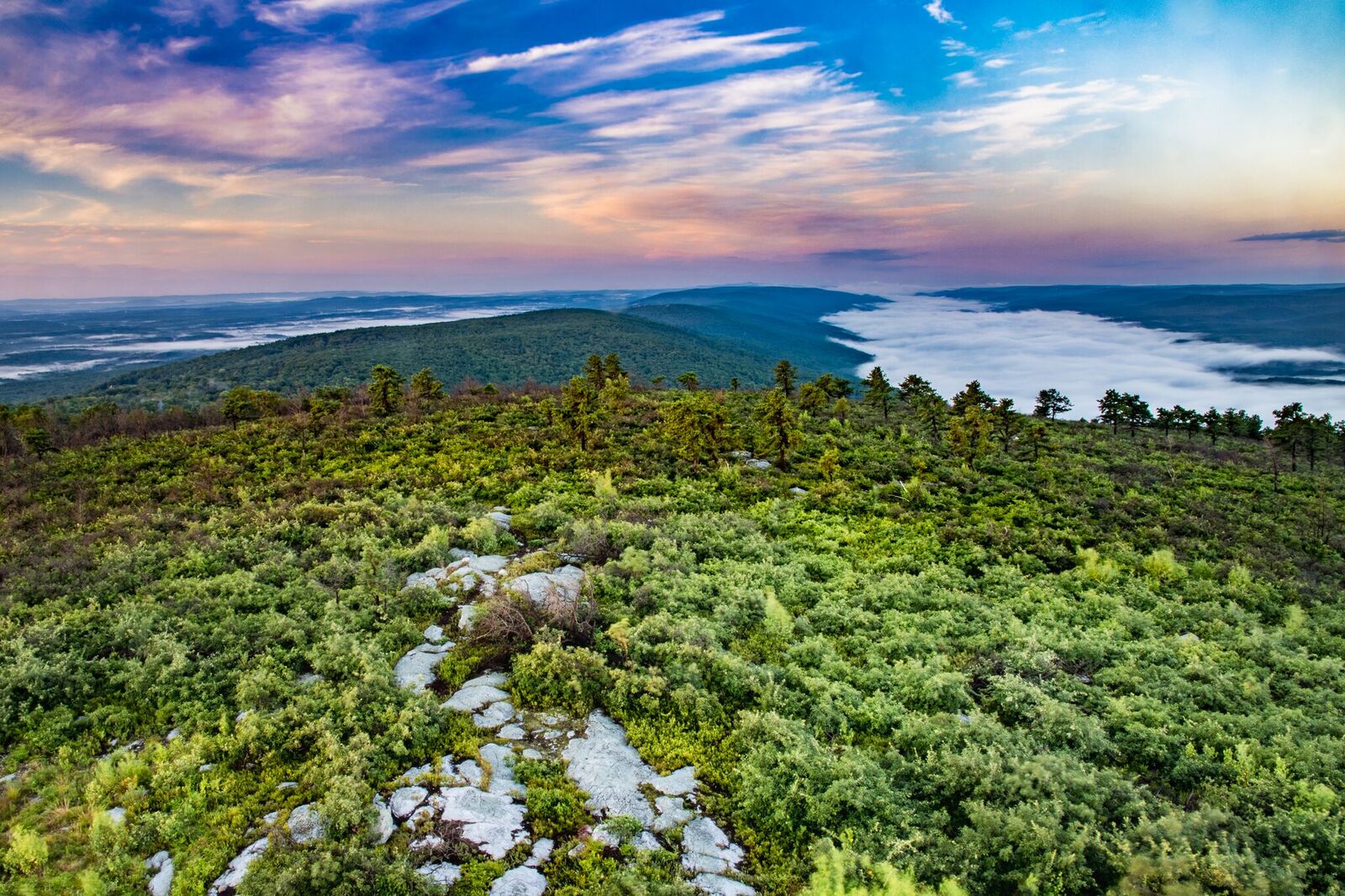 View of the Shawangunk Ridge from the Long Path. Photo by Steve Aaron.