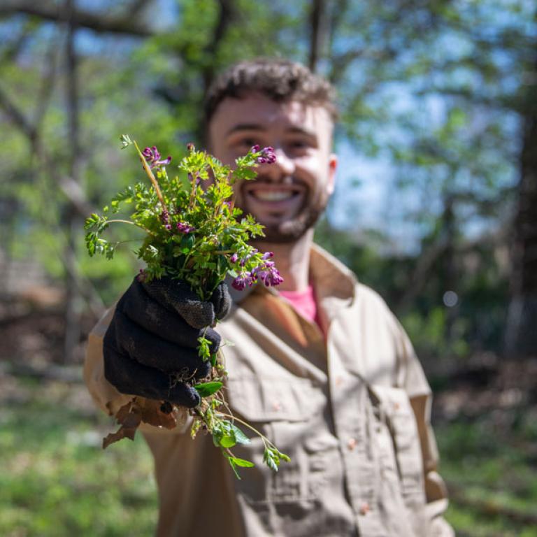 Ecological Stewardship