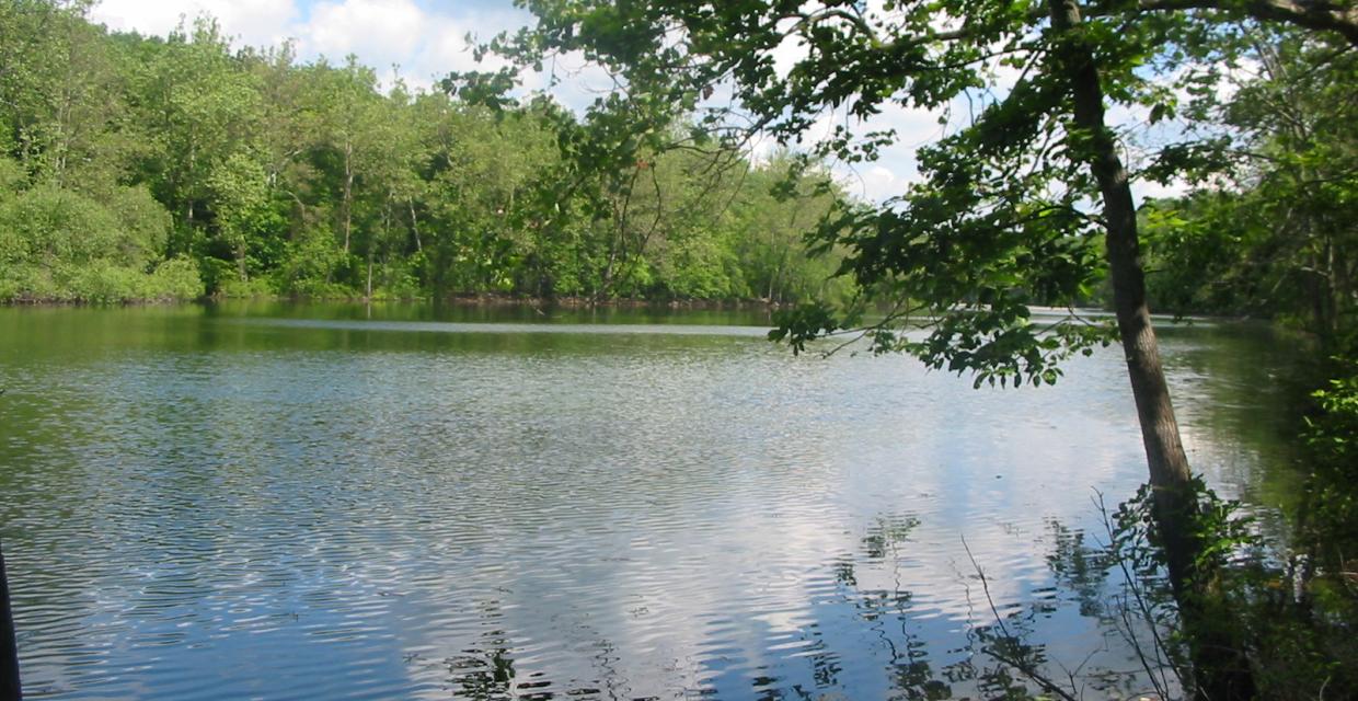 Duck Pond - Photo by Daniel Chazin Duck Pond - Photo by Daniel Chazin