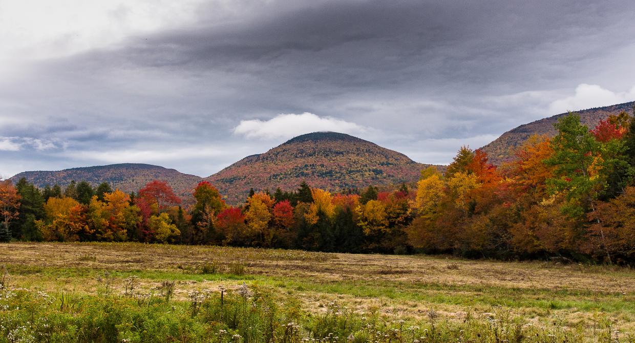 Devil's Path Peaks in Autumn on the Long Path. Photo by Steve Aaron.