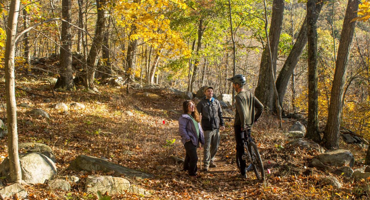 Hikers and Mountain Biker meet on Sterling Forest's multi-use trails. Photo by Robert Celestin.