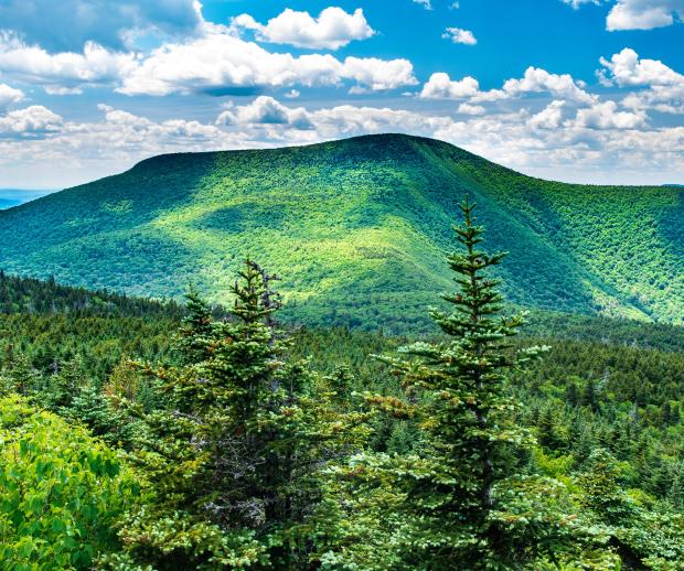 Discovering the Long Path: Slide Mountain - Photo: Steve Aaron