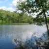 Duck Pond - Photo by Daniel Chazin Duck Pond - Photo by Daniel Chazin