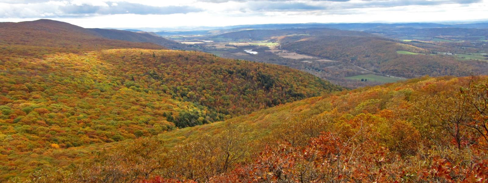 View from the South Taconic Trail on Alander Mountain - Photo credit: Michael Schenker View from the South Taconic Trail on Alander Mountain at Taconic State Park - Photo credit: Michael Schenker