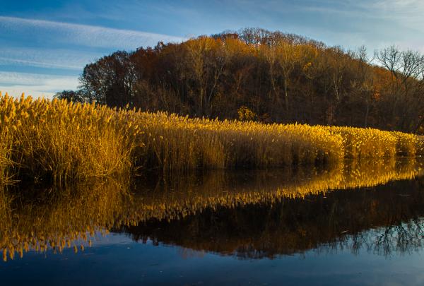 View from the Long Path in Rockland County. Piermont Marsh in Tallman State Park. Photo by Steve Aaron.