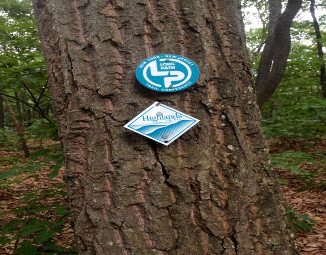 The co-aligned Long Path and Highlands Trail. Photo by Sona Mason