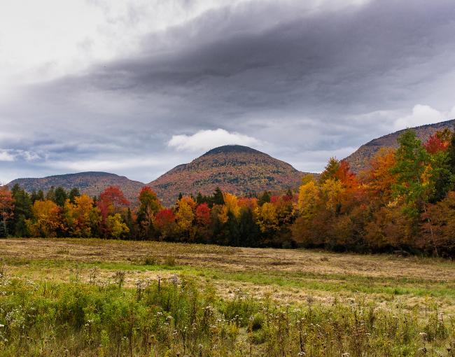 Devil's Path Peaks in Autumn on the Long Path. Photo by Steve Aaron.