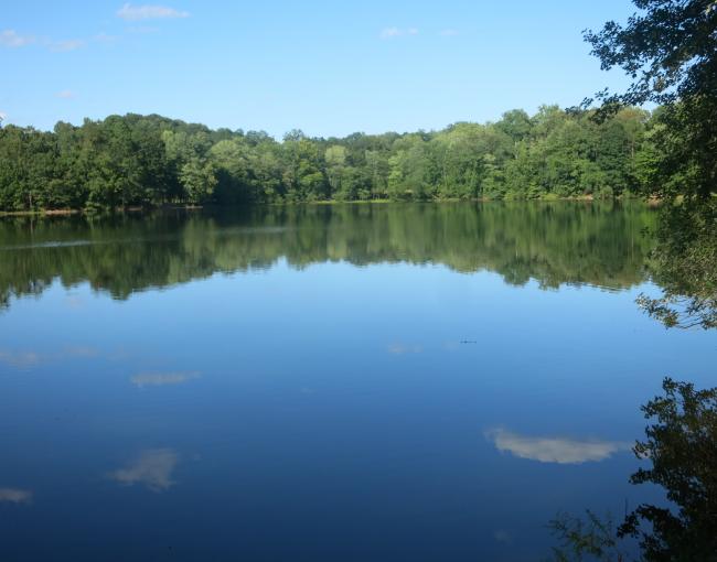 Ramapo Valley County Reservation, Vista Loop Trail. Photo by Daniel Chazin.