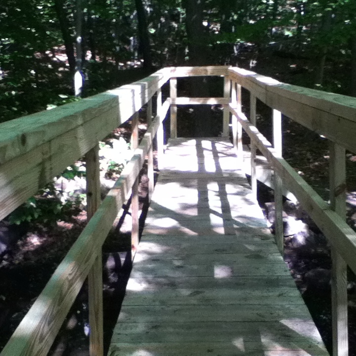 Bridge over stream at MacMillan Res