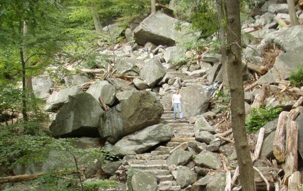 Bear Steps Bear Steps