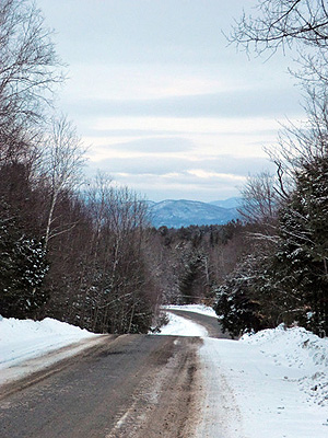 Fox Hill Road